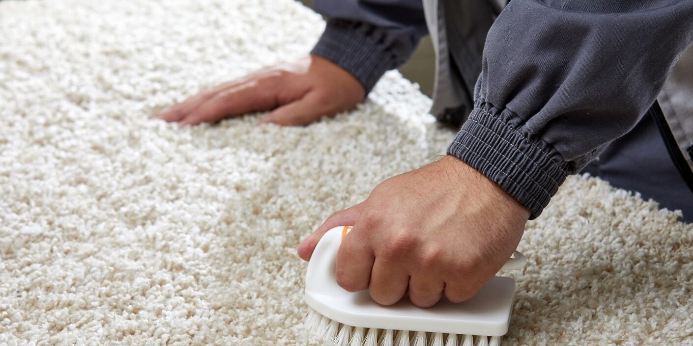 limpieza de alfombras en Valencia – cepillo limpieza de alfombras en Valencia - cepillo