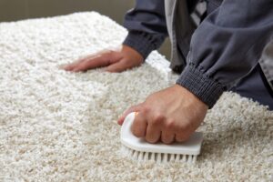 limpieza de alfombras en Valencia - cepillo