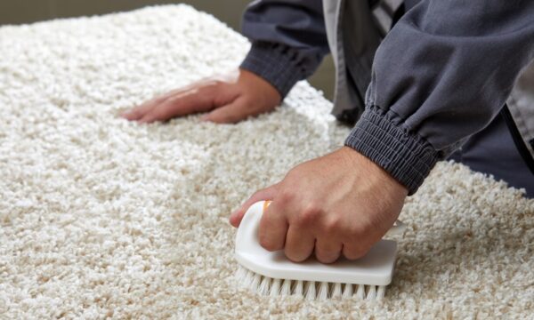 limpieza de alfombras en Valencia - cepillo