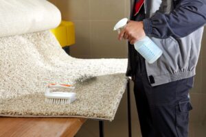 tintorería para alfombras en Valencia - limpieza profesional