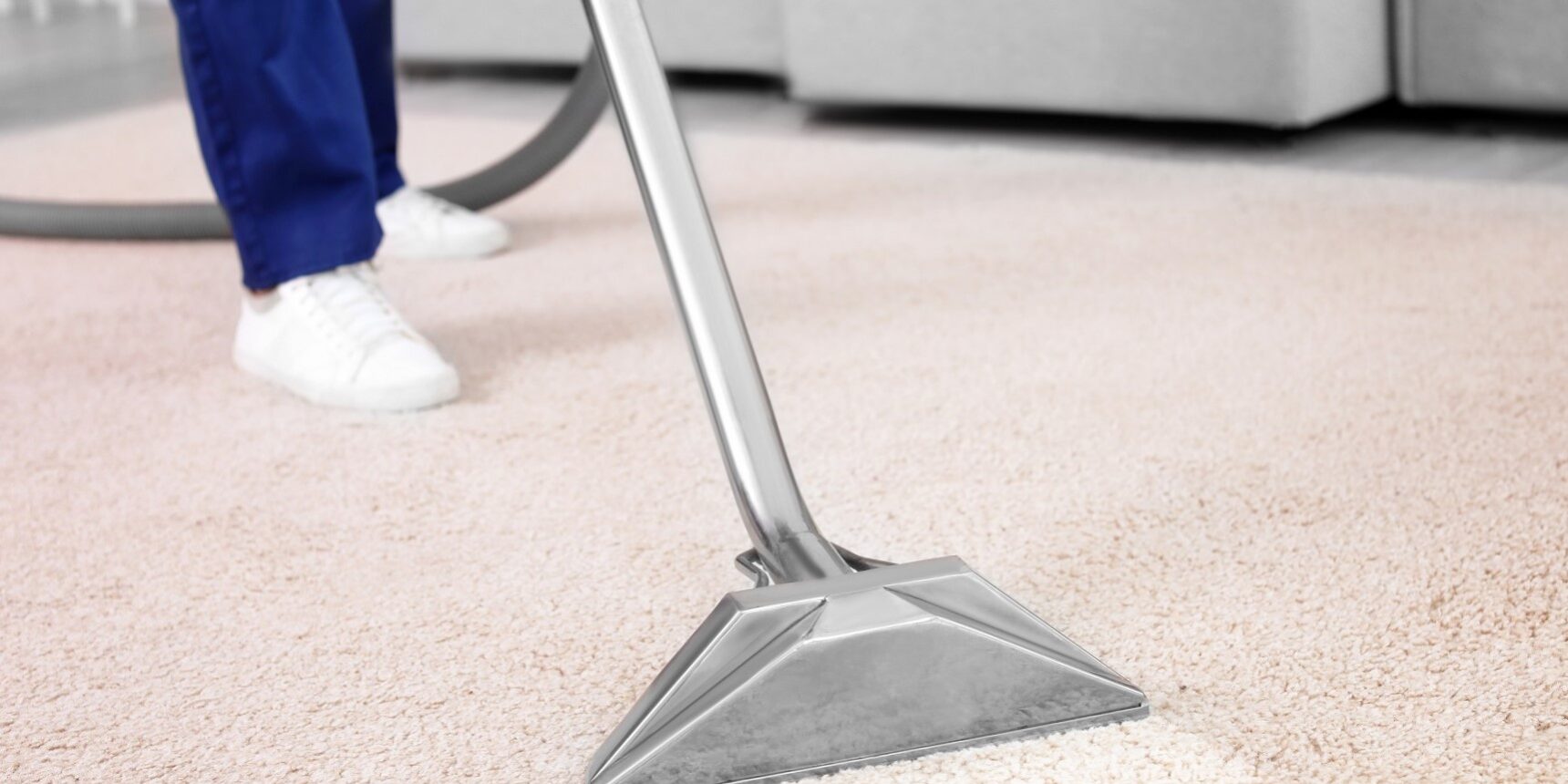 limpieza de alfombras en Valencia – camino limpieza de alfombras en Valencia - camino