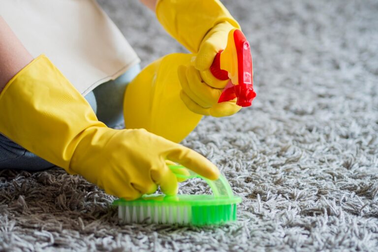 limpieza de alfombras en Valencia – spray manchas limpieza de alfombras en Valencia - spray manchas