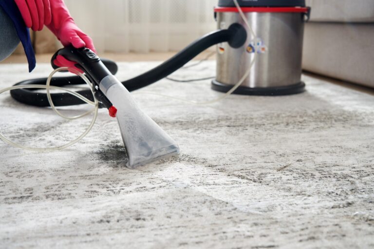 lavar la alfombra en Valencia - humedad