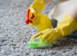 limpieza de alfombras en valencia - profesionales