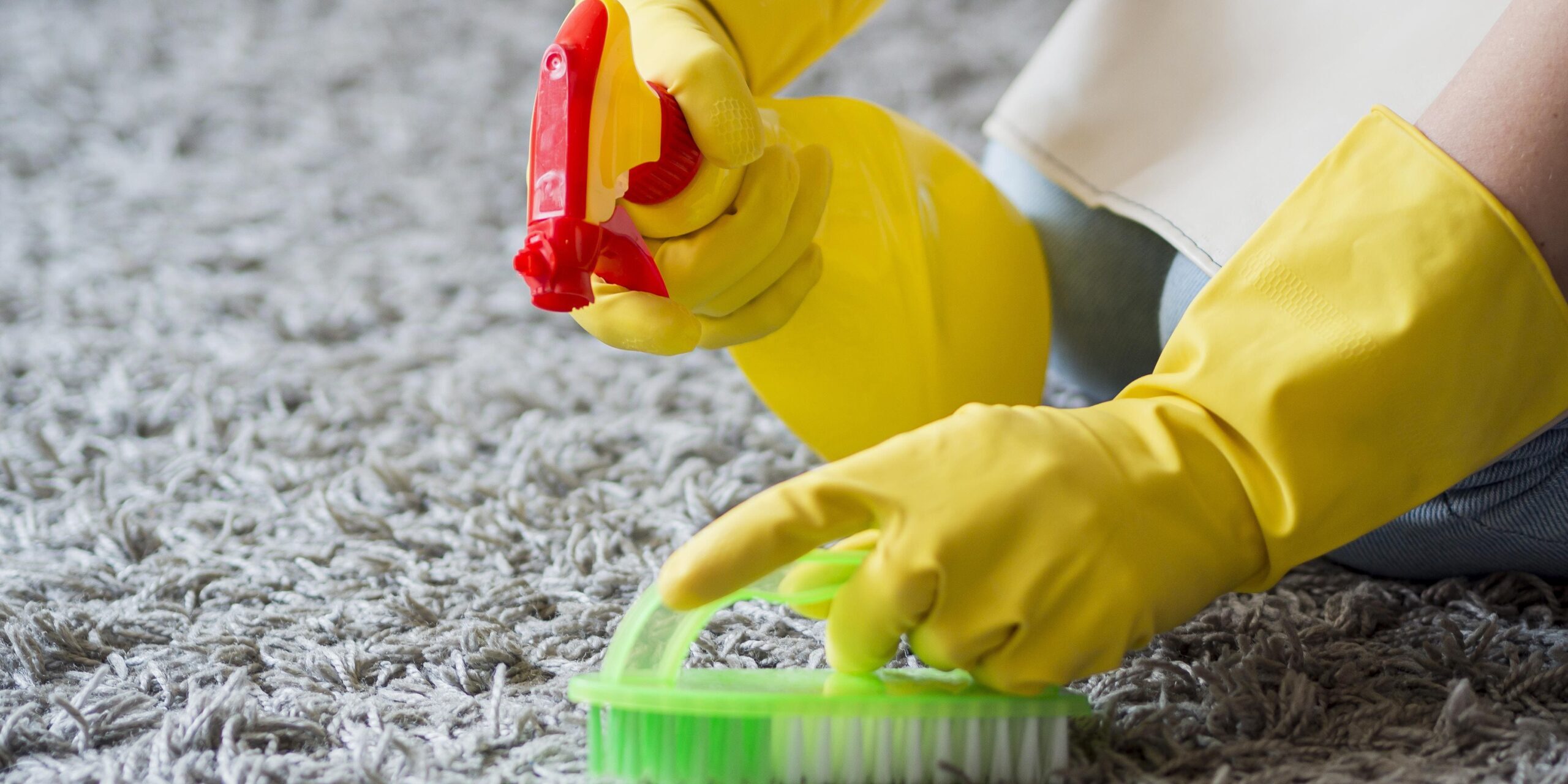 limpieza de alfombras en valencia – profesionales limpieza de alfombras en valencia - profesionales