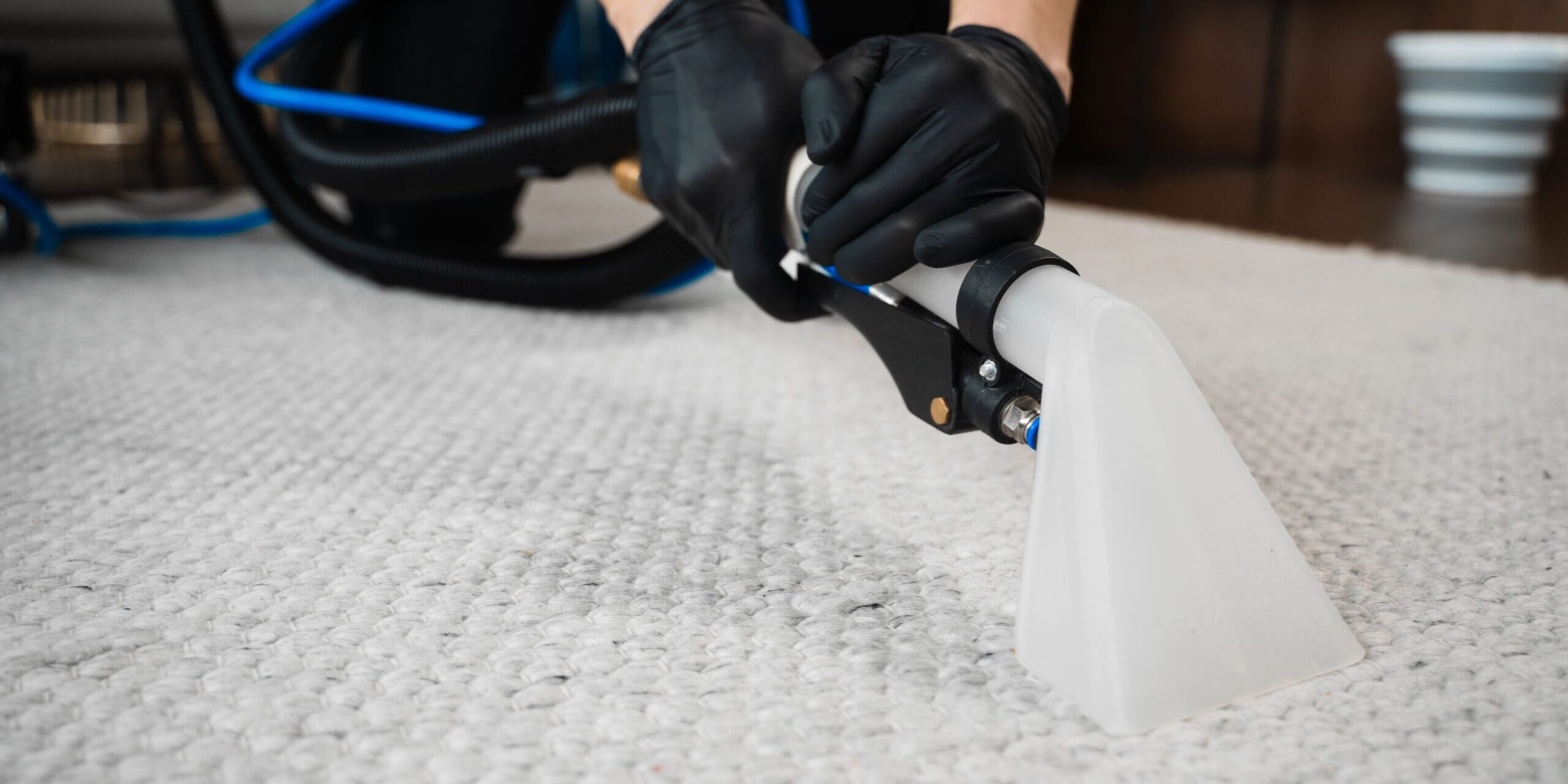 limpieza de alfombras en valencia – manchas limpieza de alfombras en valencia - manchas