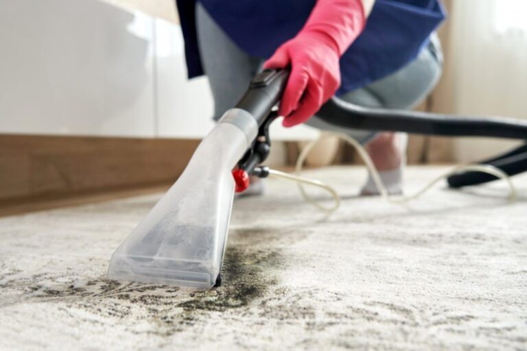 limpieza de alfombras en Valencia – manchas limpieza de alfombras en Valencia - manchas